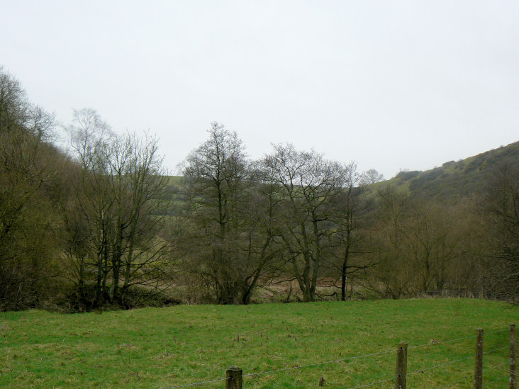 Manifold Valley Manifold Valley